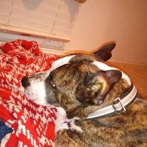 Meet your Posher, Gary